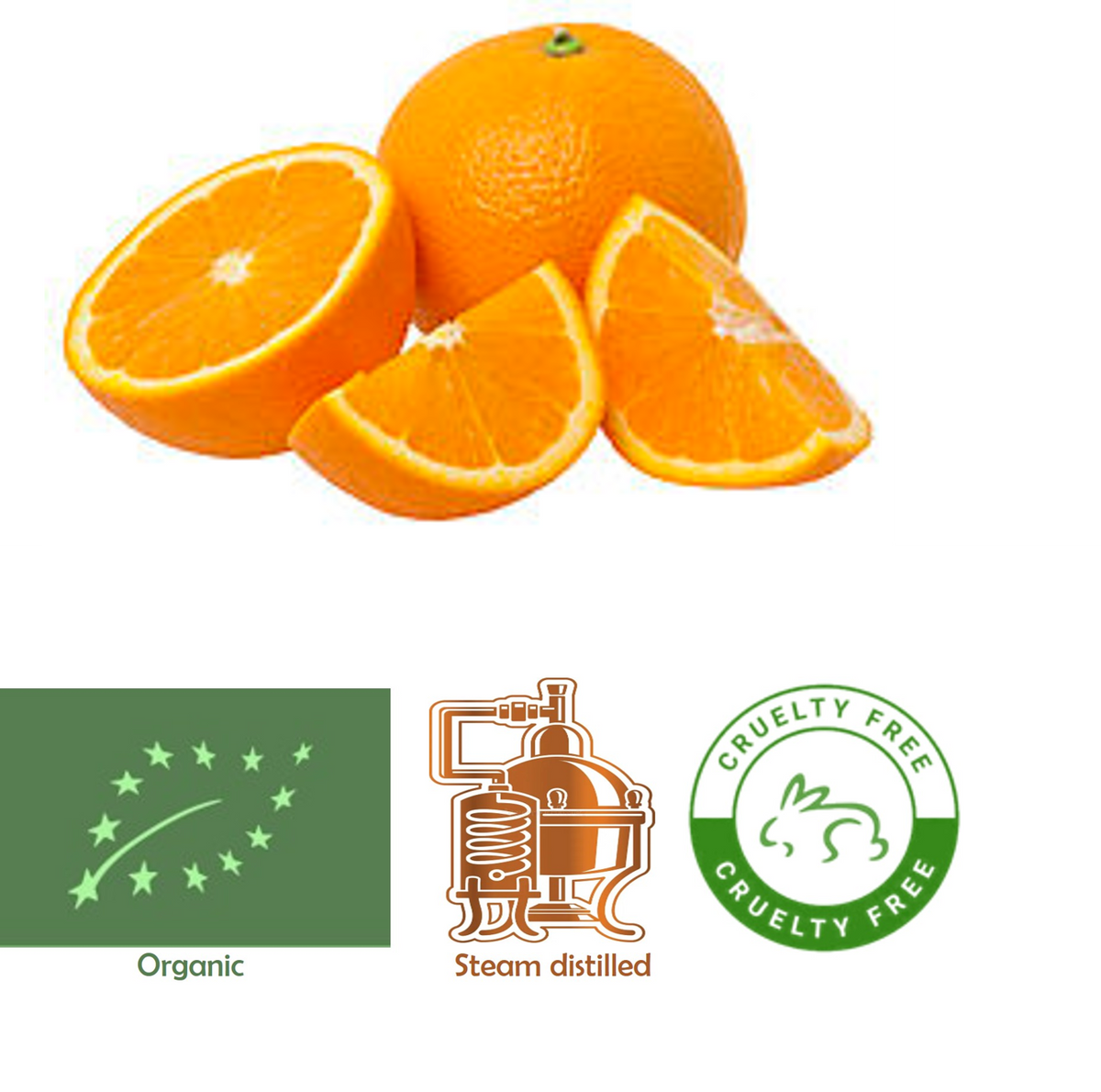 Orange Sweet (Organic) Citrus sinensis