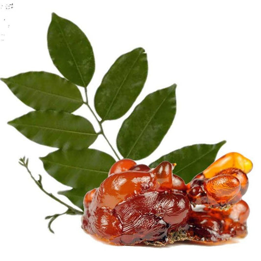 Peru balsami (Myroxylon pereirae), eteerinen öljy