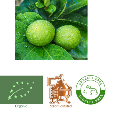 Bergamot(FCF) (Organic)  Citrus bergamia
